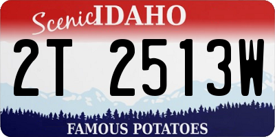 ID license plate 2T2513W