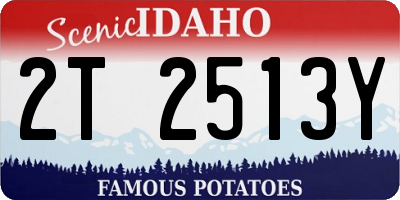 ID license plate 2T2513Y