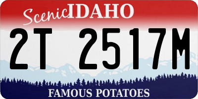 ID license plate 2T2517M