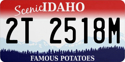ID license plate 2T2518M