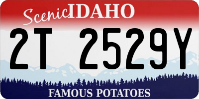 ID license plate 2T2529Y