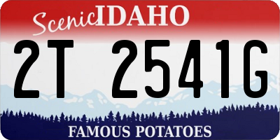 ID license plate 2T2541G
