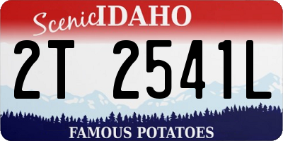 ID license plate 2T2541L