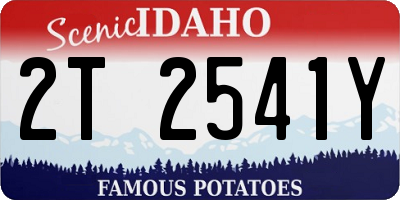 ID license plate 2T2541Y