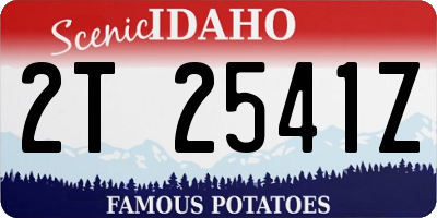 ID license plate 2T2541Z