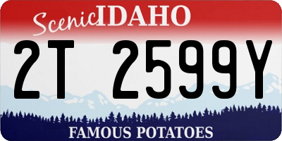 ID license plate 2T2599Y
