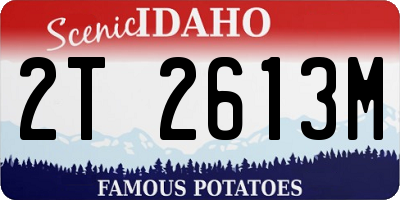 ID license plate 2T2613M