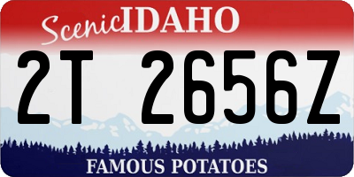 ID license plate 2T2656Z