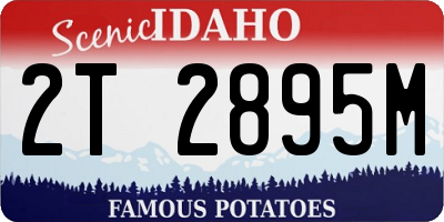 ID license plate 2T2895M