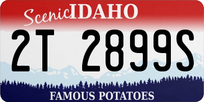 ID license plate 2T2899S