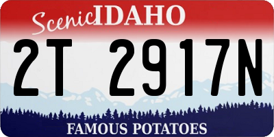 ID license plate 2T2917N