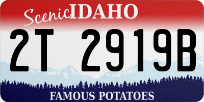 ID license plate 2T2919B