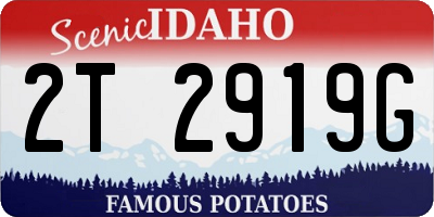 ID license plate 2T2919G