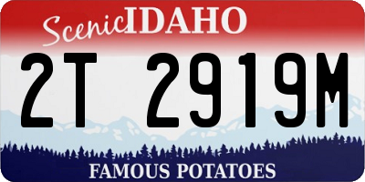 ID license plate 2T2919M