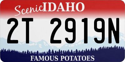 ID license plate 2T2919N