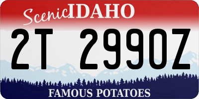 ID license plate 2T2990Z