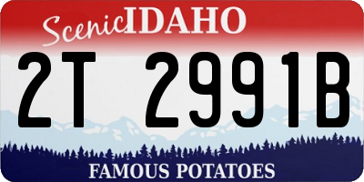 ID license plate 2T2991B