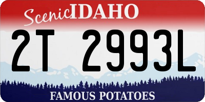 ID license plate 2T2993L