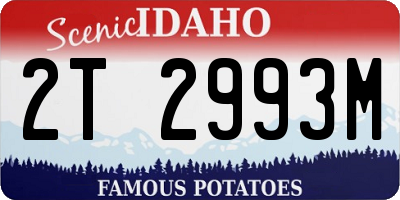 ID license plate 2T2993M