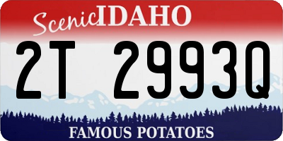 ID license plate 2T2993Q