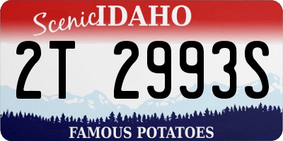 ID license plate 2T2993S