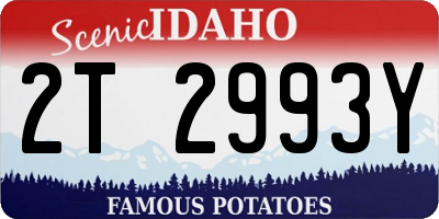 ID license plate 2T2993Y