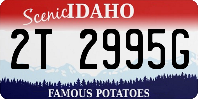 ID license plate 2T2995G