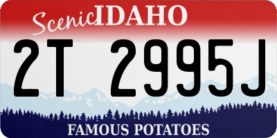 ID license plate 2T2995J