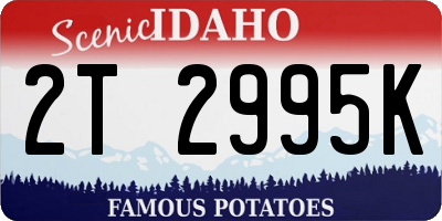 ID license plate 2T2995K