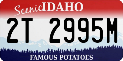 ID license plate 2T2995M