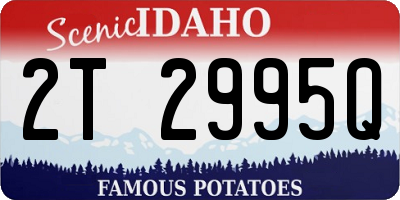 ID license plate 2T2995Q