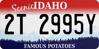 ID license plate 2T2995Y