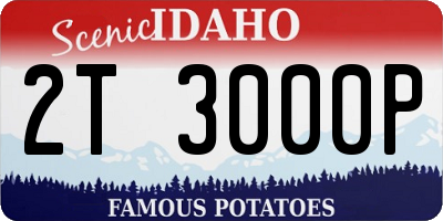 ID license plate 2T3000P