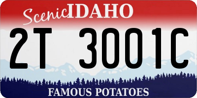 ID license plate 2T3001C