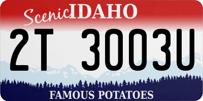 ID license plate 2T3003U