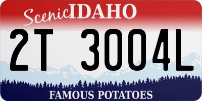 ID license plate 2T3004L