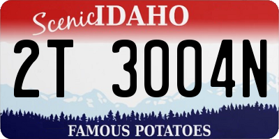 ID license plate 2T3004N
