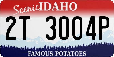 ID license plate 2T3004P
