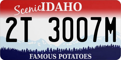 ID license plate 2T3007M
