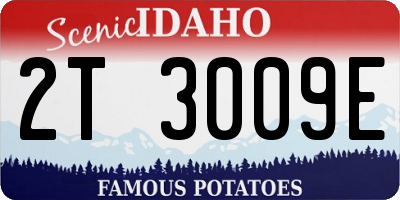 ID license plate 2T3009E