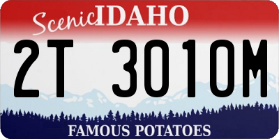 ID license plate 2T3010M