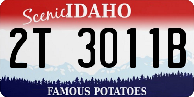 ID license plate 2T3011B