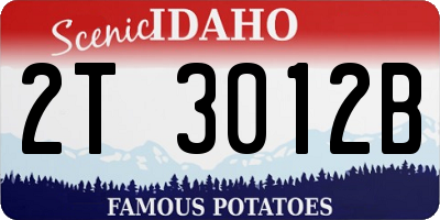 ID license plate 2T3012B