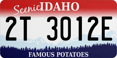 ID license plate 2T3012E