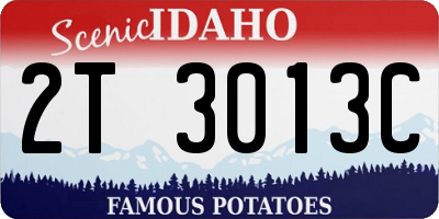 ID license plate 2T3013C