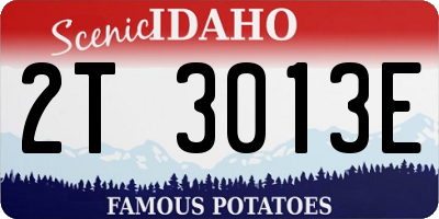 ID license plate 2T3013E
