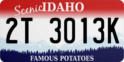 ID license plate 2T3013K