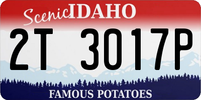 ID license plate 2T3017P