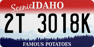ID license plate 2T3018K