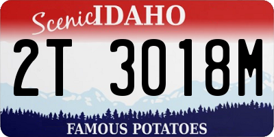 ID license plate 2T3018M